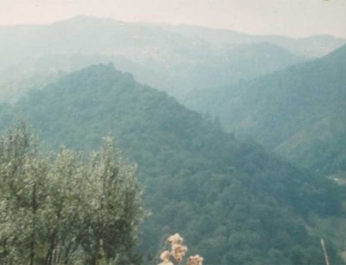 CONSERVACIÓN Y REGENERACIÓN DE LOS BOSQUES DE CUAJIMALPA